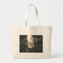 Le pinson de Cassin à un conducteur d'oiseau Sac