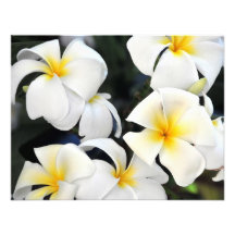 Le Plumeria hawaïen fleurit l'invitation
