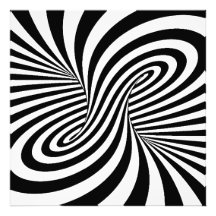 LE ZÈBRE BLANC NOIR TOURBILLONNE ILLUSION OPTIQUE  PHOTOGRAPHIE