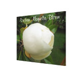 Leinwand - eingewickelt - südliche Magnolien-Blüte Leinwanddrucke