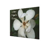 Leinwand - eingewickelt - südliche Magnolien-Blüte Gespannte Galeriedrucke