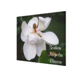 Leinwand - eingewickelt - südliche Magnolien-Blüte Gespannter Galeriedruck