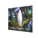 Leinwand - eingewickelt - südliche Magnolien-Knosp Leinwand Drucke