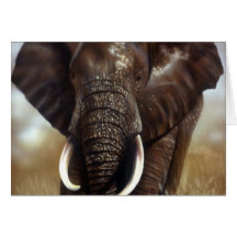 L'éléphant Taureau imprime des cartes