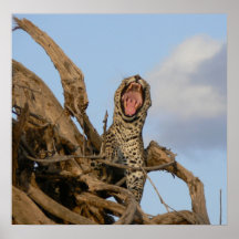 Leopard-Plakat