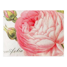 Les rétros valentines romantiques vintages se sont cartes postales