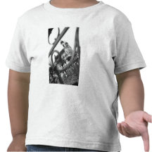 L'Europe, Suisse, luzerne. Église de jésuite T-shirt