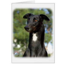 Lévrier 9R022-146 Cartes De Vœux