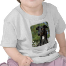 Lévrier 9R022-146 T-shirt