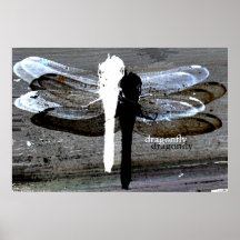 Libelle (Schwarzweiss-Trennung) Posterdruck