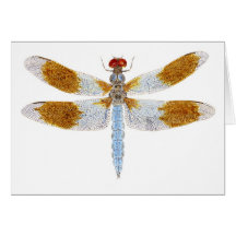 Libellule de Whitetail de désert Carte De Vœux