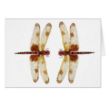 Libellules de fanion de calicot carte