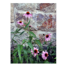 Lila Blumen-Postkarte