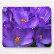 Lila Krokus mousepad