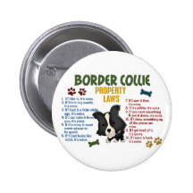 Lois 4 de propriété de border collie pin's avec agrafe