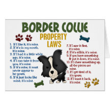 Lois 4 de propriété de border collie cartes de vœux