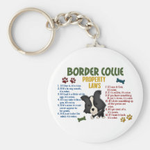 Lois 4 de propriété de border collie porte-clés