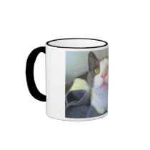 LOL Katze