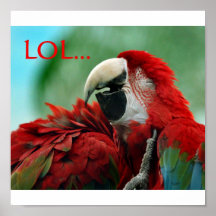 LOL POSTERDRUCKE