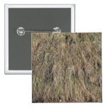 Longue texture morte d'herbe badges avec agrafe