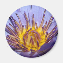 Lotos-Blume Kühlschrankmagnet