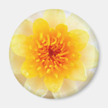 Lotos-Blume Kühlschrankmagnete