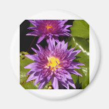 Lotos-Blume Magnete