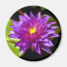 Lotos-Blume Magnete