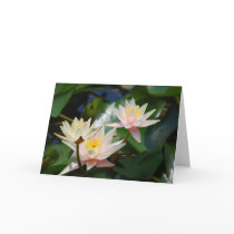 Lotos-Blume und -bedeutung