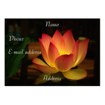 Lotus-Visitenkarte