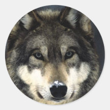 Loup Autocollants