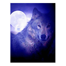 Loup et lune carte postale