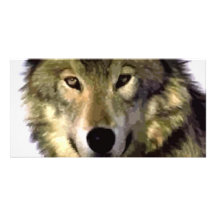 Loup gris photocarte customisée