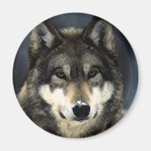Loup Magnets