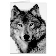 Loup noir et blanc carte de vœux