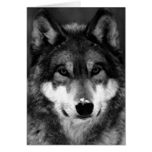 Loup noir et blanc cartes de vœux