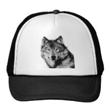 Loup noir et blanc casquette