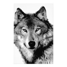 Loup noir et blanc papiers à lettres