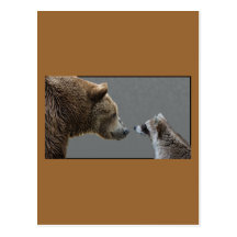 L'ours grisonnant rencontre le raton laveur cartes postales