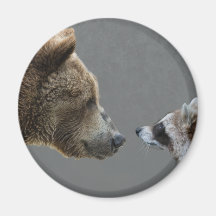 L'ours grisonnant rencontre le raton laveur magnets pour réfrigérateur