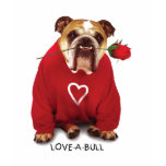 LOVE-A-BULL T-Shirt