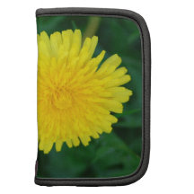 Löwenzahn/Dotterblume Folio Planer