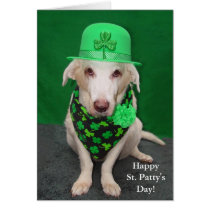 Lustigen Tag Hundest. Pattys