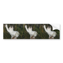 LUSTIGER CAT AUTOSTICKER