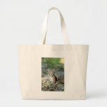 Lynx eurasien, jeune chaton sac en toile