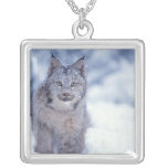 lynx, lynx de Lynx, dans la neige dans les colline Pendentif