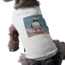 Macareux d'île de Skomer Manteaux Pour Animaux Domestiques