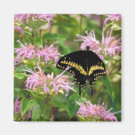 Machaon noir aimants pour réfrigérateur