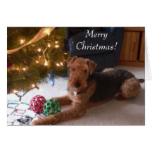 Maddie sagt, "frohe Weihnachten! " Grußkarte