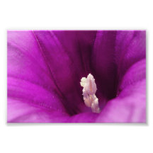 Magie pourpre art photographique